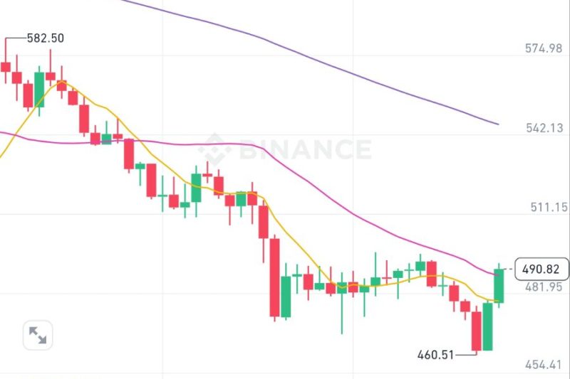zec上不去就要下得来