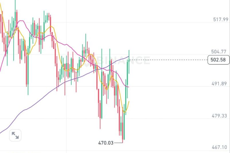 zec跌了下来，我还是没下车，又上过山车了