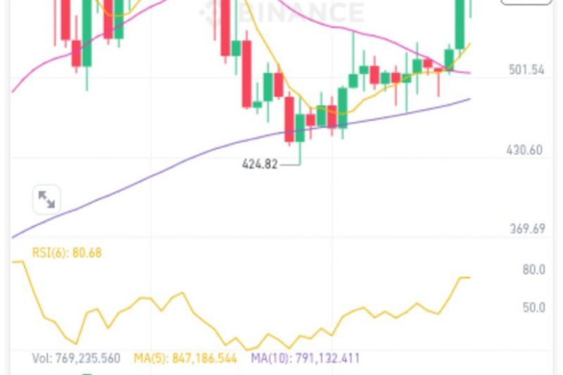 zec这次跌下去一定要减仓的，吸取教训。